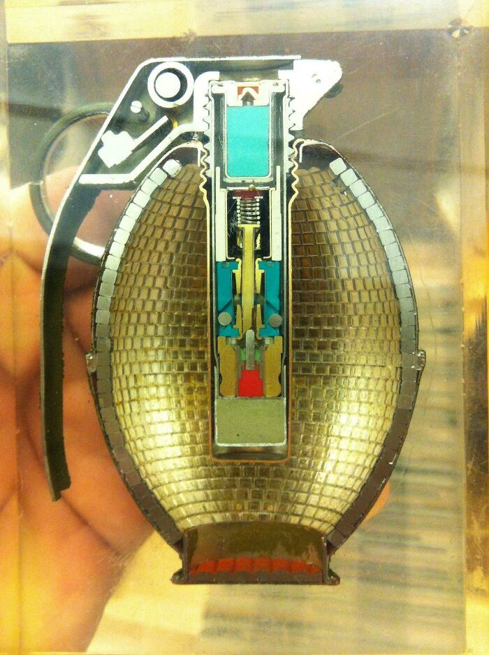 An interesting photo of a hand g*****e cut in half, showcasing its complex internal mechanisms and components.