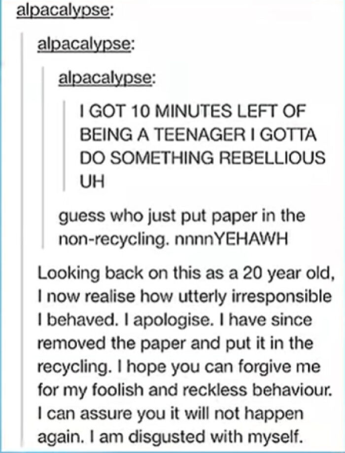 Screenshot of a Tumblr post illustrating humorous character development from a rebellious teenager to a regretful adult.