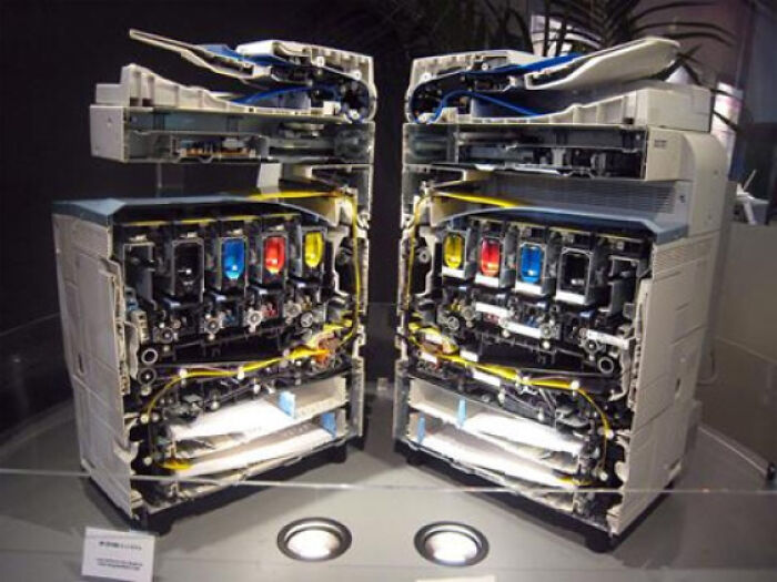 A large office printer cut precisely in half, exposing its intricate internal components and ink cartridges, among surprising objects cut in half.
