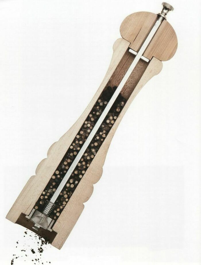 An interesting photo of an object cut in half: a wooden pepper mill showing peppercorns and the grinding mechanism.