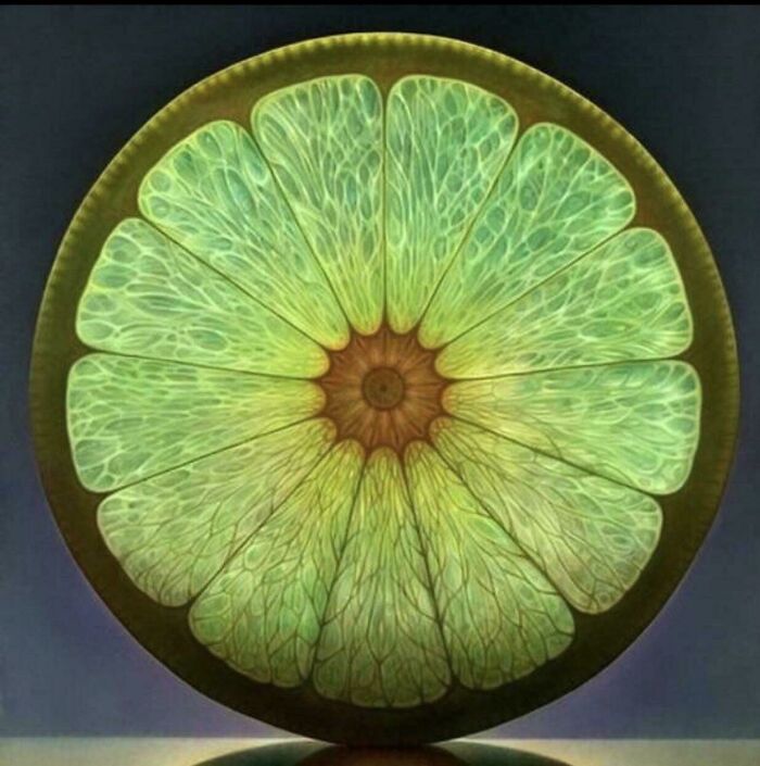 An artistic rendering of a citrus fruit cut in half, showing its intricate segments and veins, surprising photos of objects.