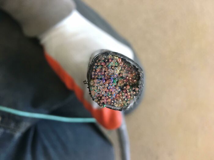 A close-up of a cable cut in half, revealing hundreds of colorful wires inside, surprising photos of objects.