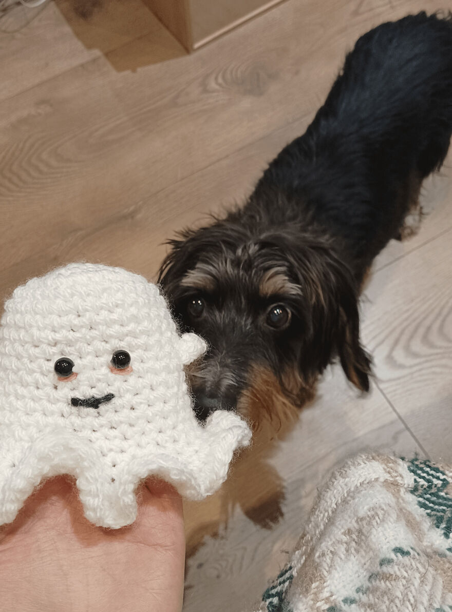 A small, black and tan dog looking at a white crochet creation ghost held in a hand, a charming craft project.