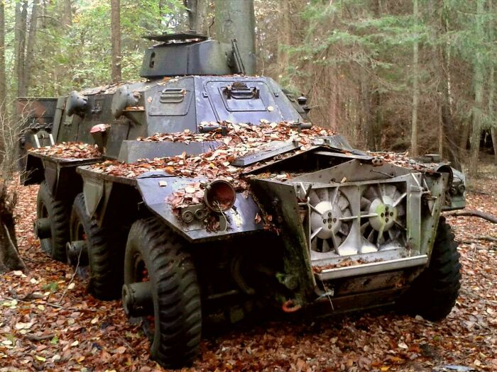 Exploring abandoned places, a military vehicle sits covered in leaves, something very unexpected.