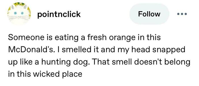 A Tumblr post about smelling a fresh orange in McDonalds, part of the best things shared on Tumblr.
