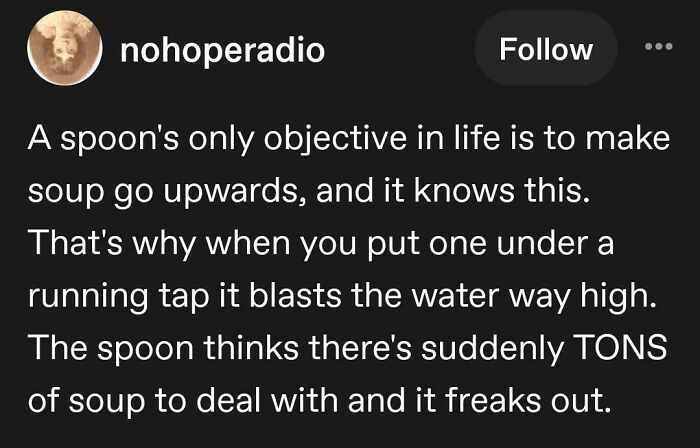 A humorous Tumblr post about a spoon's 'objective' to move soup and its reaction to running water, among best Tumblr posts.