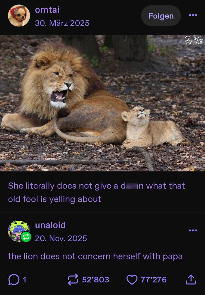 A funny Tumblr post showing a roaring male lion next to a calm lion cub, illustrating humorously best Tumblr things.