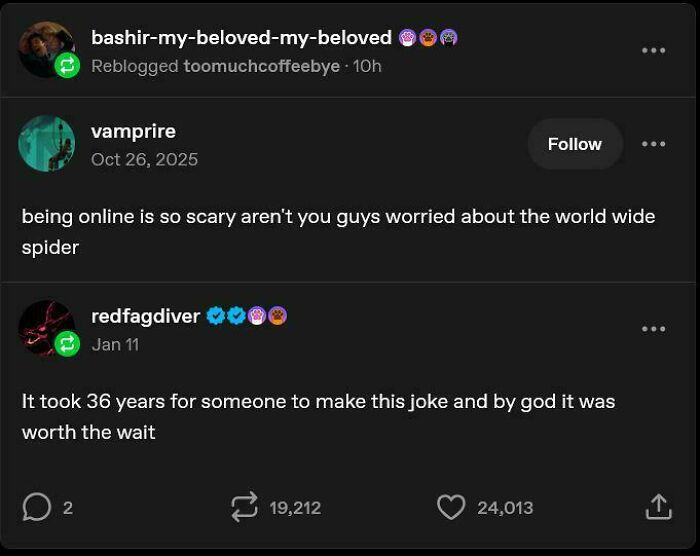 A funny Tumblr post about the 'world wide spider', showcasing some of the best things shared on Tumblr.