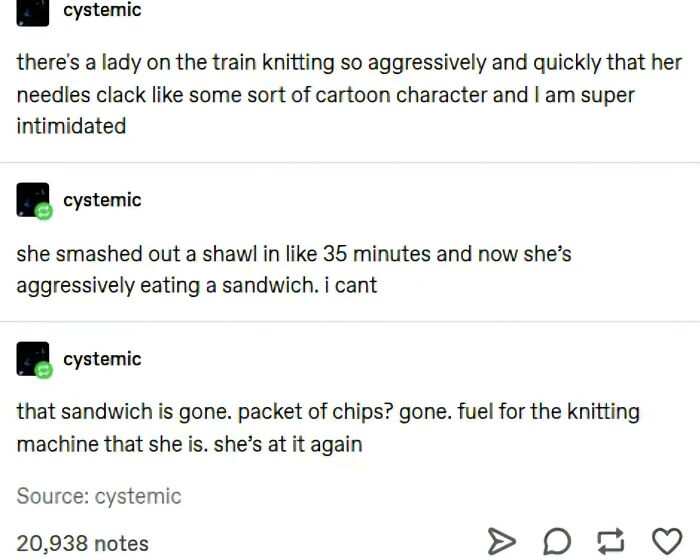 A humorous Tumblr post about an aggressively knitting woman on a train, among the best things shared on Tumblr.