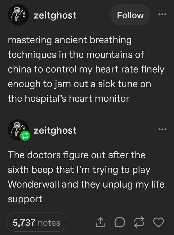 A hilarious Tumblr post about playing Wonderwall on a heart monitor, among the best things shared on Tumblr.