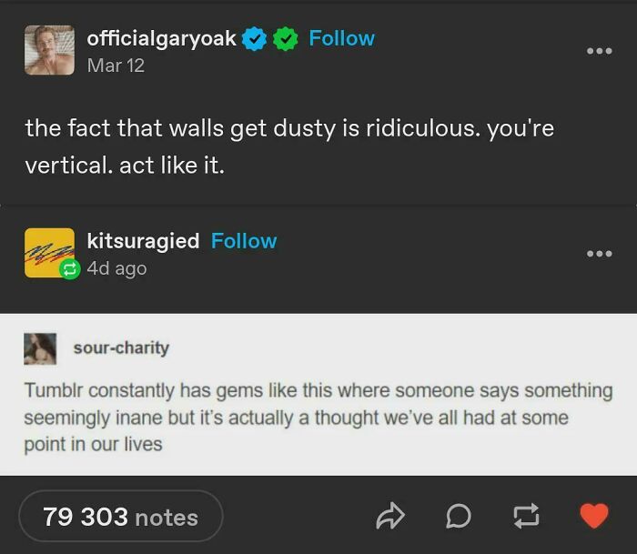 A Tumblr post by officialgaryoak about dusty walls, with a comment on the gems shared on Tumblr.