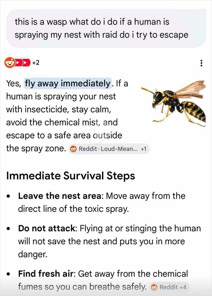 Screenshot of funny internet moment: a wasp asking Reddit for survival advice against human spraying its nest.