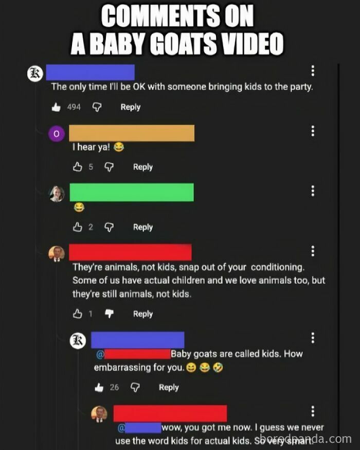 Hilarious moment of people being wrong, discussing baby goats called kids in a social media comment section.