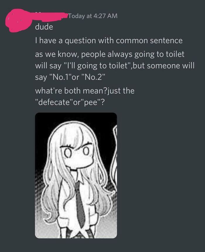 A wholesome image of a person asking a question about common bathroom phrases in a chat, with an anime character.