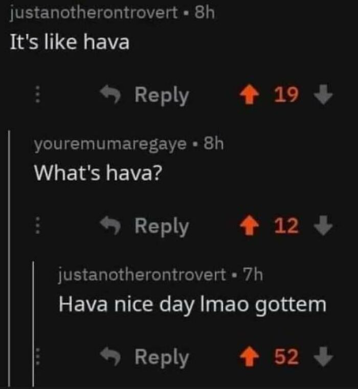 A wholesome image of a humorous Reddit conversation where a user makes a pun about hava.