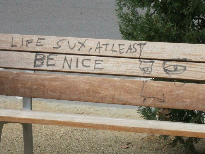 Wholesome images of a wooden park bench with the graffiti LIFE SUX, AT LEAST BE NICE and a doodle.