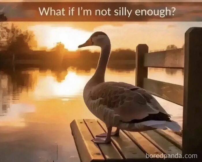 A goose animal meme sitting on a dock, looking out at the water at sunset, asking what if I'm not silly enough.