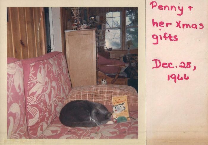 A vintage photo showing a cat named Penny sleeping on a sofa next to Christmas gifts, one of the baffling images.