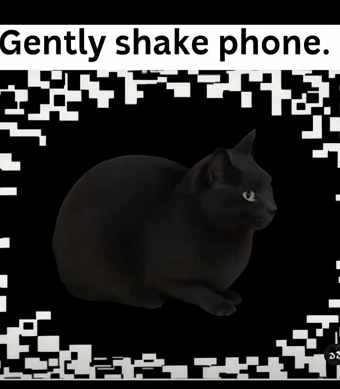 A black cat against a black and white patterned background, with text, one of the baffling images.