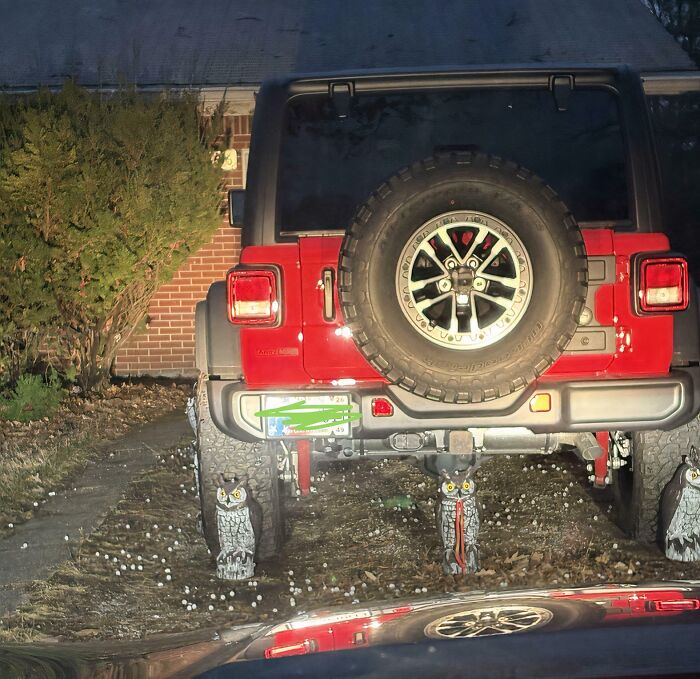 A baffling image of the rear of a red Jeep parked in a driveway at night, with three owl statues.
