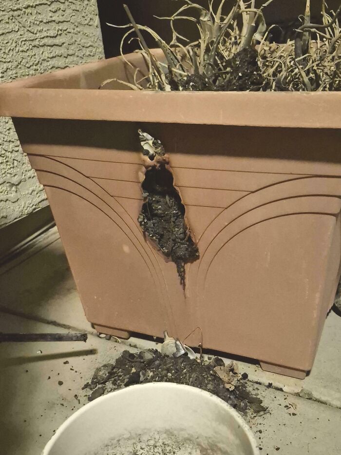 A baffling image of a burnt hole in a planter, leaving people asking questions about its cause.