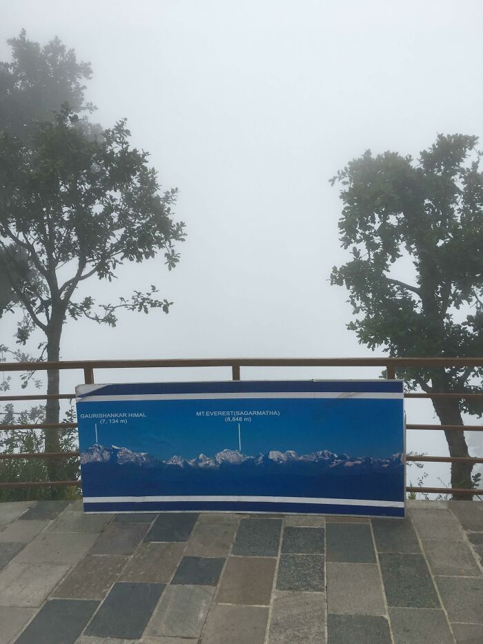 A misty view from a viewpoint with trees, and a banner showing mountain peaks like Mt. Everest, illustrating trips gone awry.