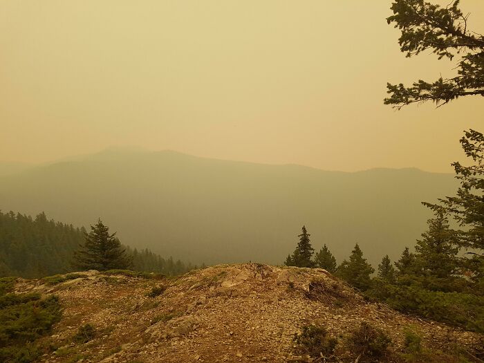 A hazy, orange sky over a mountainous forest, indicating a trip where air quality didn't go as planned.