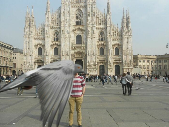 A large pigeon flying directly in front of the camera, obscuring a person in front of a grand cathedral, a trip interruption.