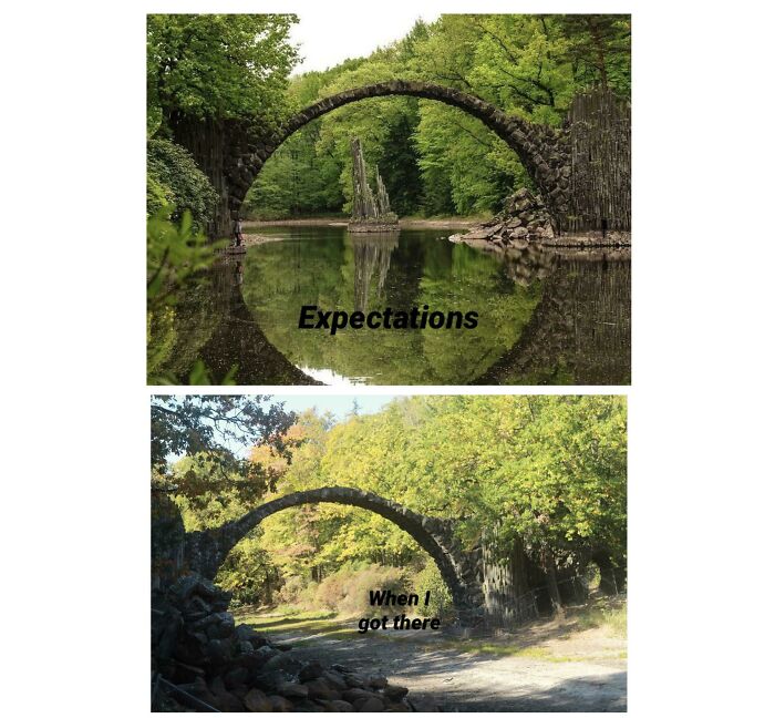 A split image showing expectations of Rakotzbrücke bridge versus the reality of trips that didn't go as planned.
