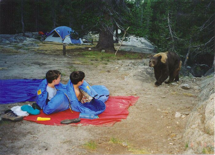 Two people in sleeping bags face a bear at a campsite, an unexpected moment on their trip.