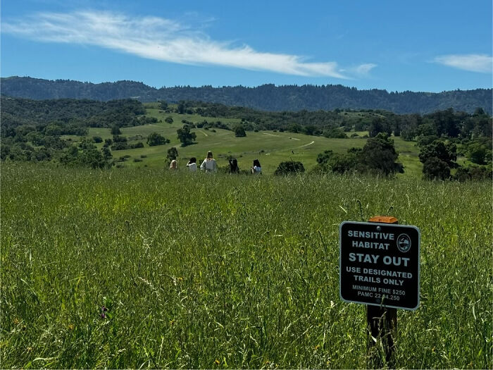 Entitled people ignore a 'Sensitive Habitat, Stay Out' sign, walking through a field of tall grass.