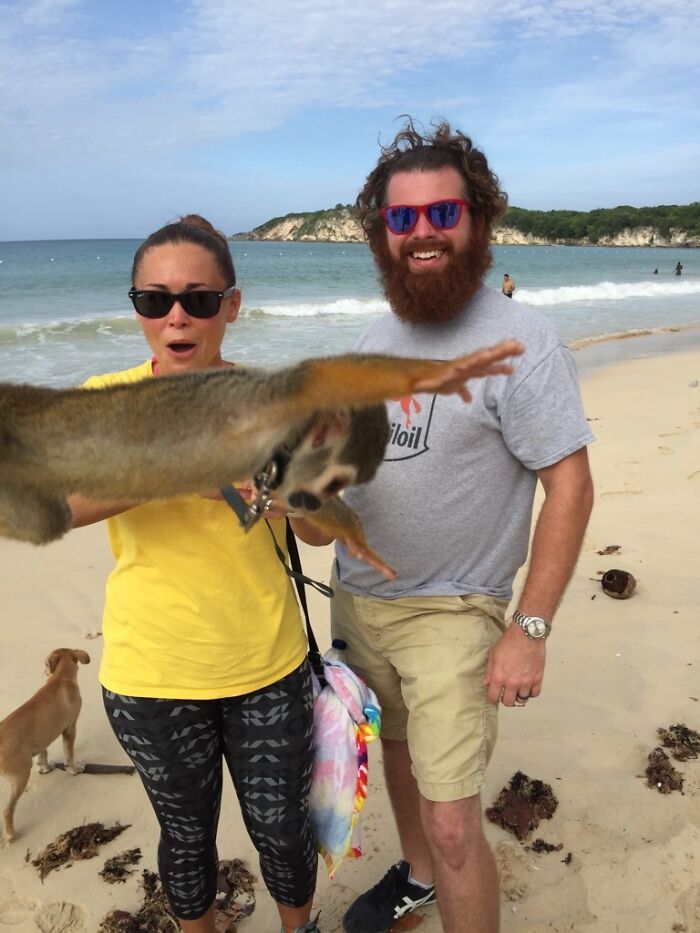 A woman holding a monkey that appears to be jumping, next to a bearded man on a beach, illustrating trips that didn't go as planned.