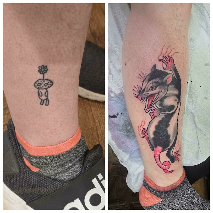 A before-and-after image showing a tiny mushroom tattoo on a leg transformed into a vibrant possum tattoo cover-up.