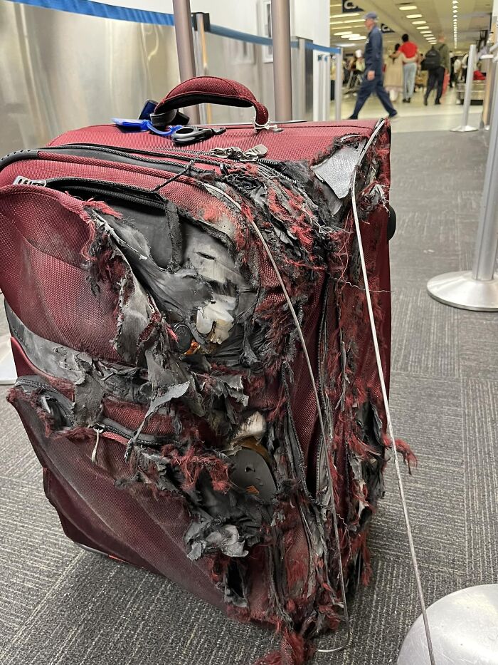 Heavily damaged suitcase, a clear example of a trip gone wrong.