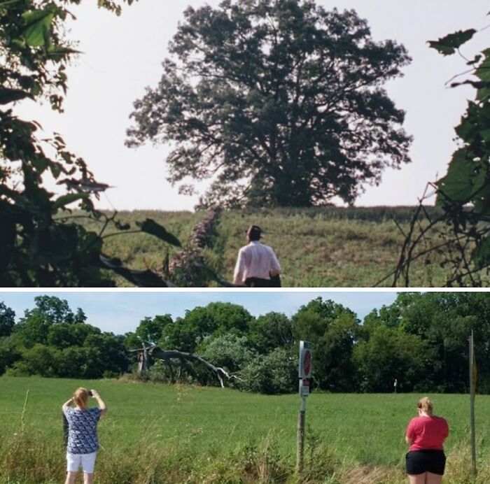 Two images showing a missing tree, illustrating trips that didn't go as planned.