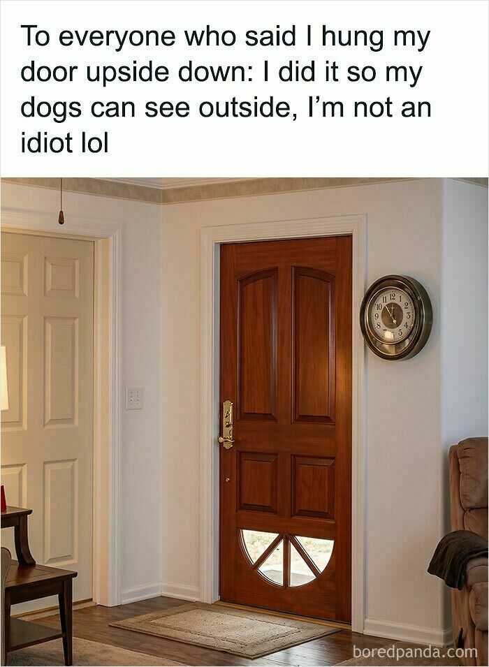 A wholesome image of a door hung upside down so dogs can see outside. This oddly wholesome image makes you breathe a little easier today.
