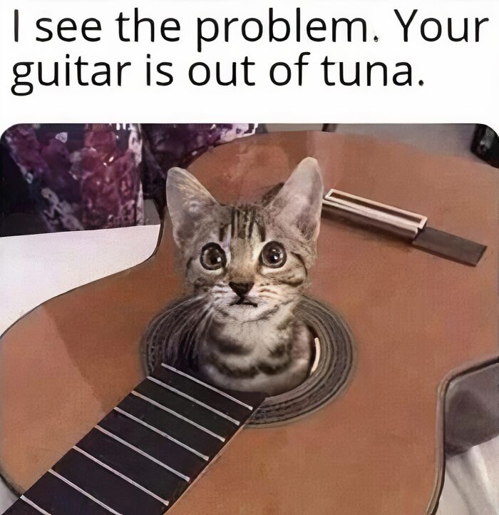 A small tabby kitten peeking out of the sound hole of an acoustic guitar, a cute animal meme.