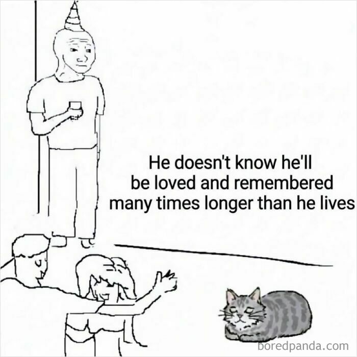 Hilarious meme showing a sad person at a party and a cat with text about being loved.