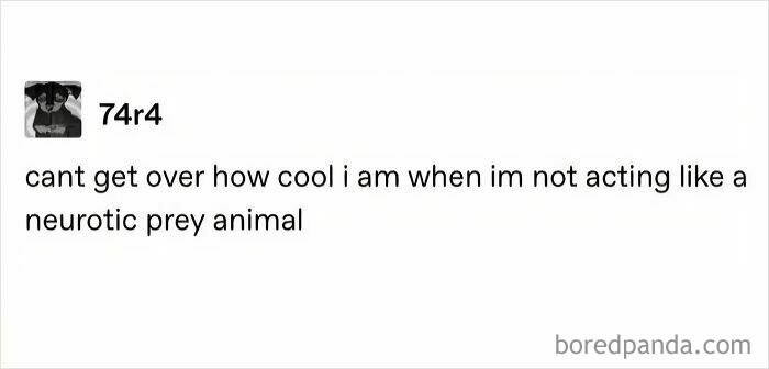 A tweet from '74r4' saying 'cant get over how cool i am when im not acting like a neurotic prey animal.' Hilarious memes for procrastinating.