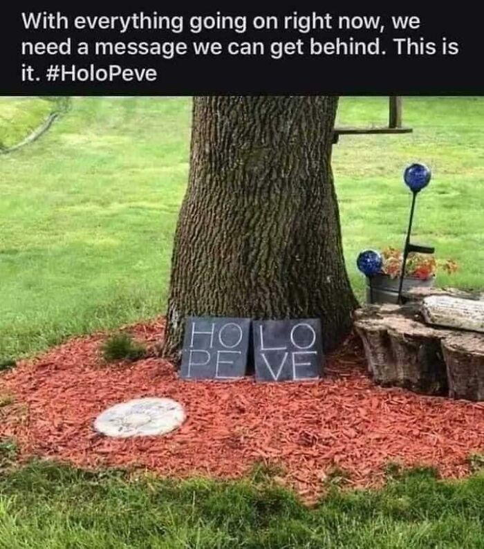 A tree with a sign reading HOLO PEVE instead of HOLO LOVE, a design fail.