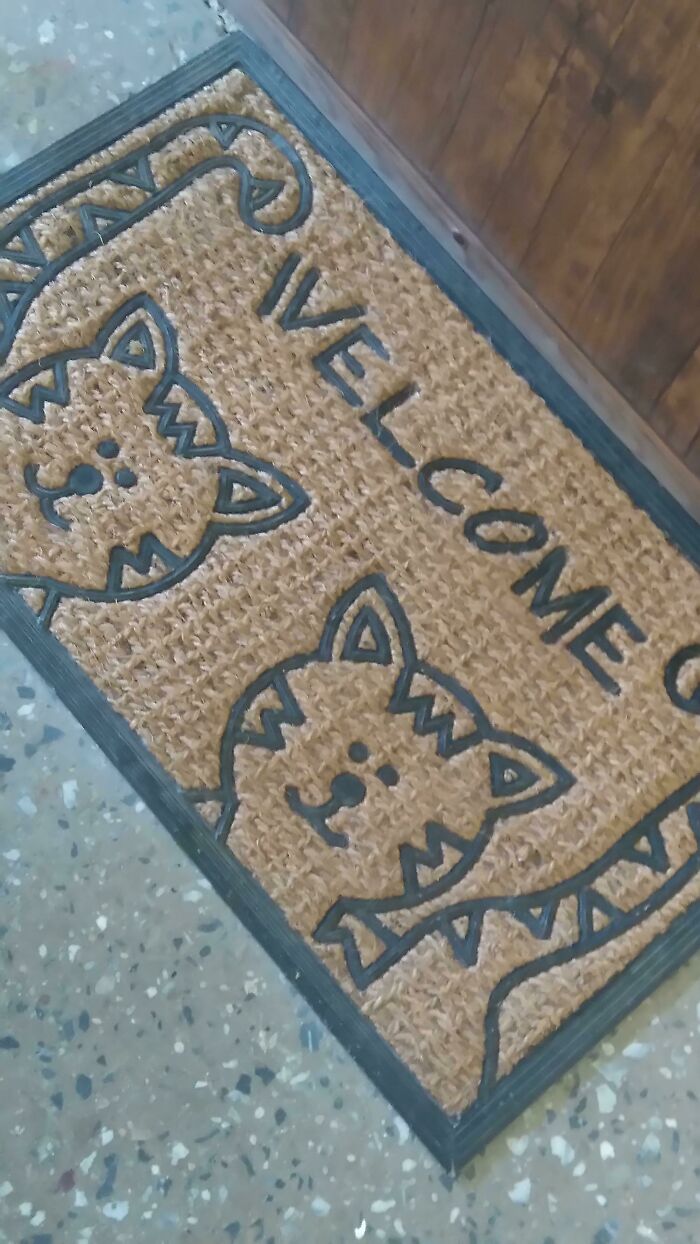 A welcome mat featuring cat design fails and the word WELCOME on a patterned floor.