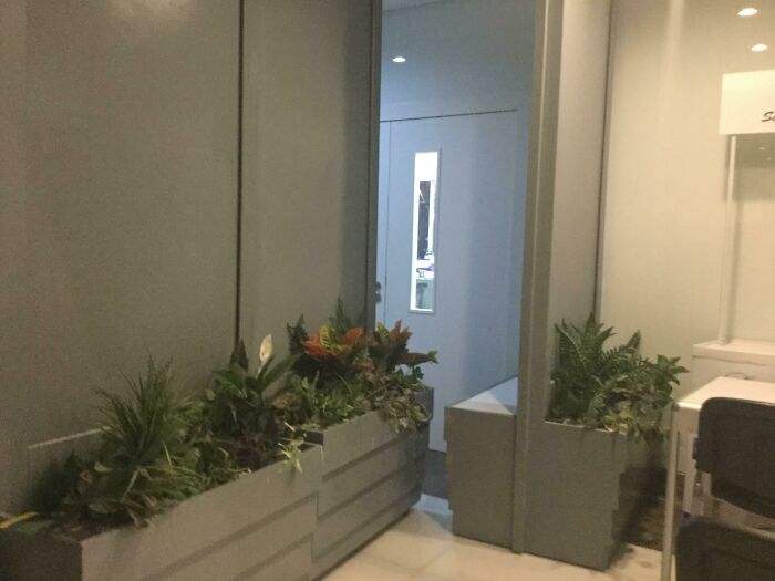 An indoor hallway with planters on the left, leading to a doorway, exemplifying modern design.