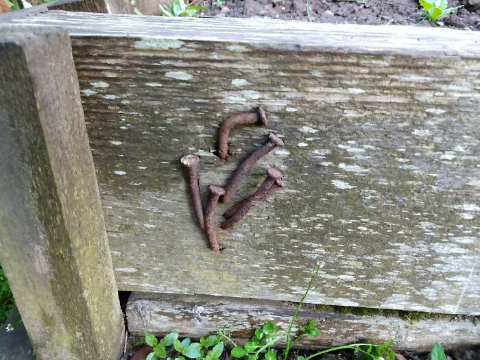 Hilariously bad DIY example: rusted nails partially hammered into weathered wood.
