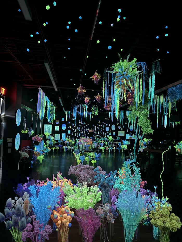 A vibrant, dark room filled with incredible accomplishments of glowing neon flowers and plants for motivation.