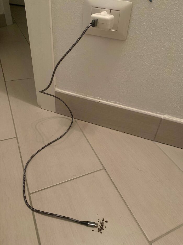 A phone charger ending in a pile of coffee grounds, an unexpected moment for the day.
