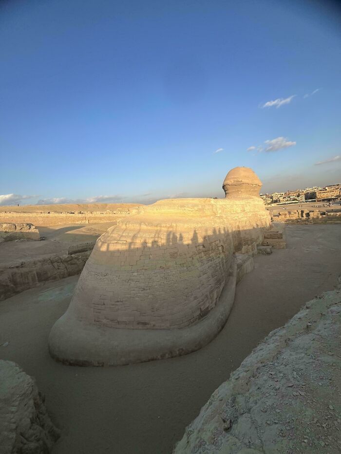 The Great Sphinx of Giza, a majestic ancient statue, providing an interesting and unexpected view.