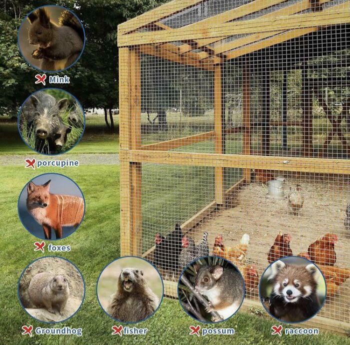 A product image of an animal cage, with red crosses over various predators, demonstrating a funny you had one job fail.