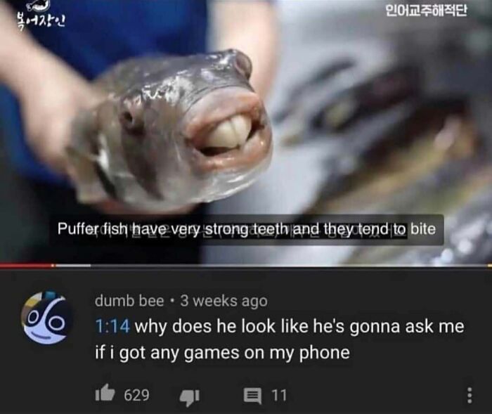 A puffer fish with prominent teeth, generating a creative and cursed comment about its appearance.
