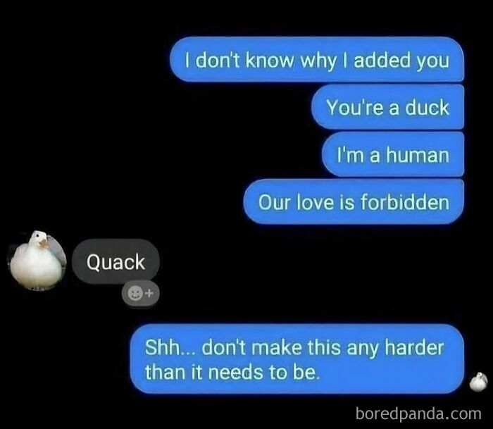 A fictional text exchange between a human and a duck, hilariously discussing their forbidden love.