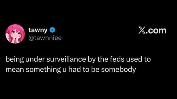 Hilarious meme of a tweet about being under surveillance by the feds.